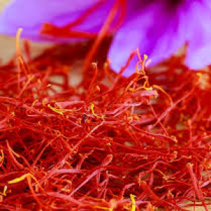icon Aurora Bloom Saffron